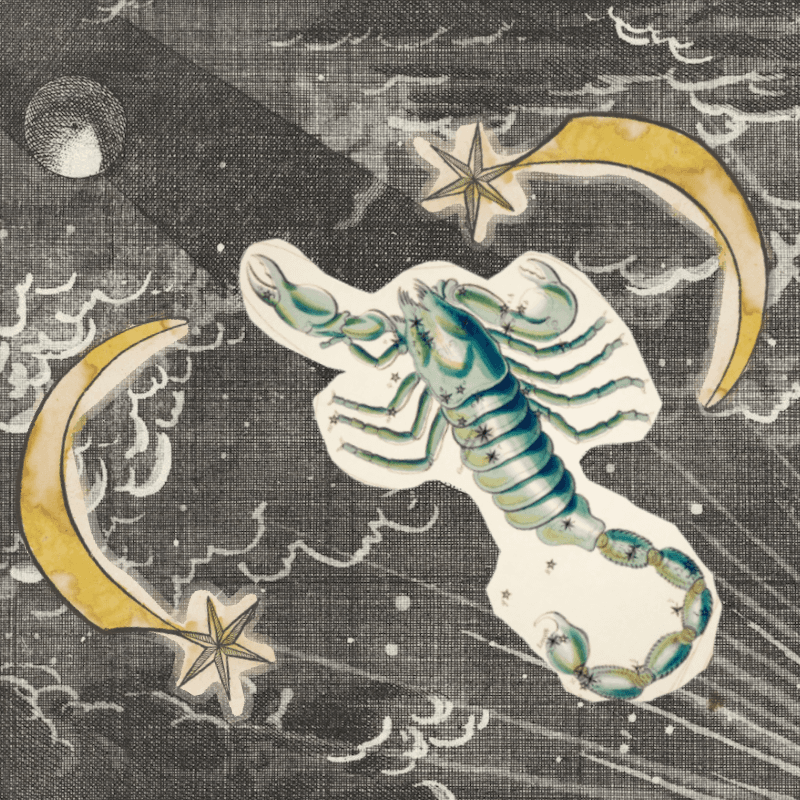 2026.05.01 Full Moon in Scorpio