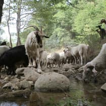 A Train To Roots (2:20pm)