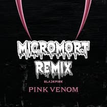 BLACKPINK - Pink Venom (micromort Remix)