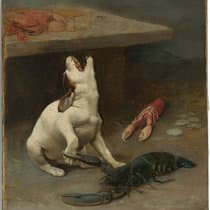 All My Dogs (Have Broken Hearts)