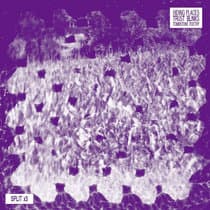 trust blinks.- Dirty Dishes