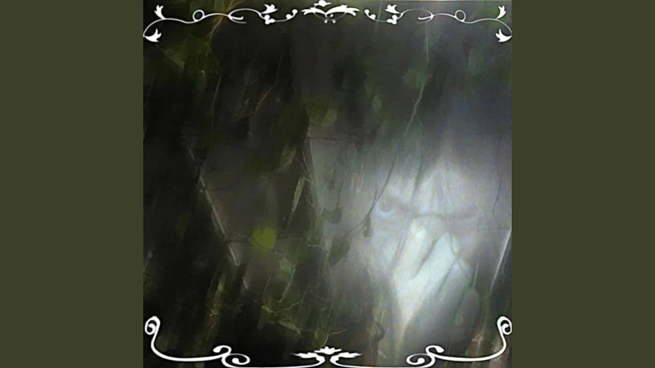 ✿‧̥°̩̥˚̩̩̥͙°̩̥‧̥·̊‧̥°̩̥‧̥·̊✿°̩̥‧̥‧̥...