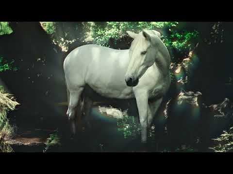 Noah Cyrus - With You (Official Visualizer)