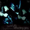 The KVB - 'Reflecting Grey' Nightvision Mix
