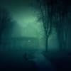 Into The Dark