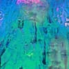 Tasting Colors - Mind, Melt, Swim