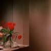 JOHNNY JEWEL / A SORT OF HOMECOMING