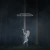 iamamiwhoami; shadowshow