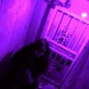 Gangsta Boo - Drop A Bundle (Summer Of Haze remix)
