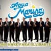 AGUA MARINA - COMO HARE PARA OLVIDARTE (VOL. 22)