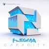 FLEGMA - Capacity ** FREE DOWNLOAD **