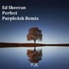 Ed Sheeran - Perfect (PurpleAsh Remix)