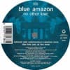 Blue Amazon - No Other Love