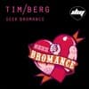 Tim Berg - Seek Bromance (Avicii Vocal Extended)