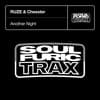 RUZE & Chesster - Another Night (Radio Edit)