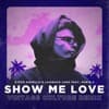 Steve Angello & Laidback Luke feat. Robin S - Show Me Love (Vintage Culture Remix)